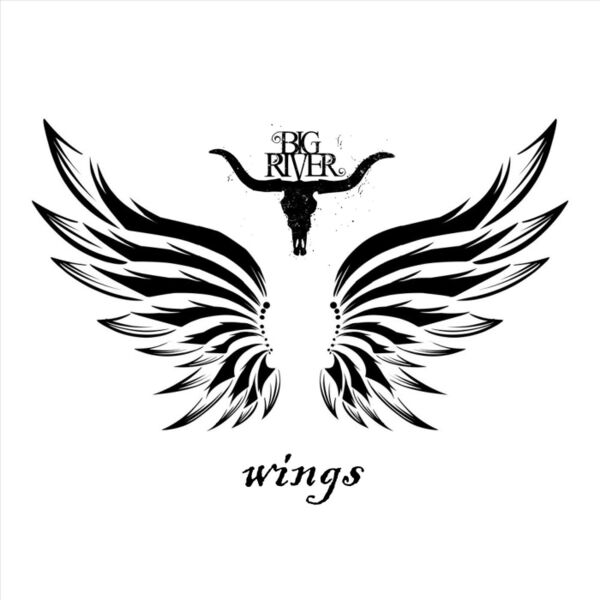 Cover art for Wings (Radio Edit)